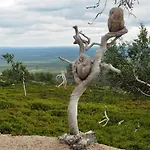 Pyhae Saukonpiilo * Pelkosenniemi