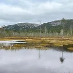 Pyhae Saukonpiilo *