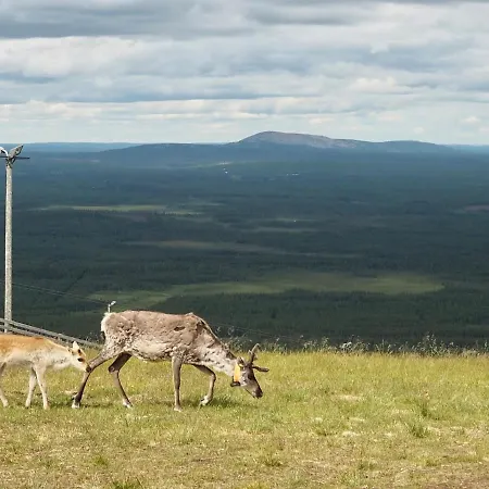 Pyhae Saukonpiilo Huvilat Pelkosenniemi