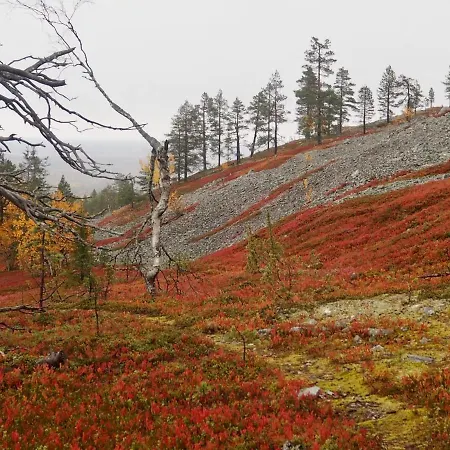 Huvilat Pyhae Saukonpiilo