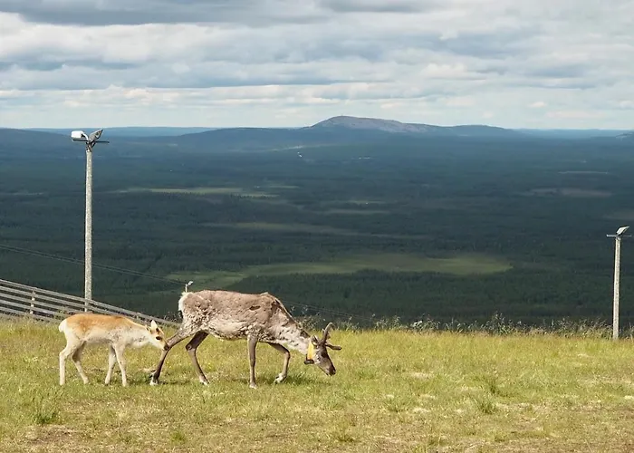 Pyhae Saukonpiilo Villa Pelkosenniemi