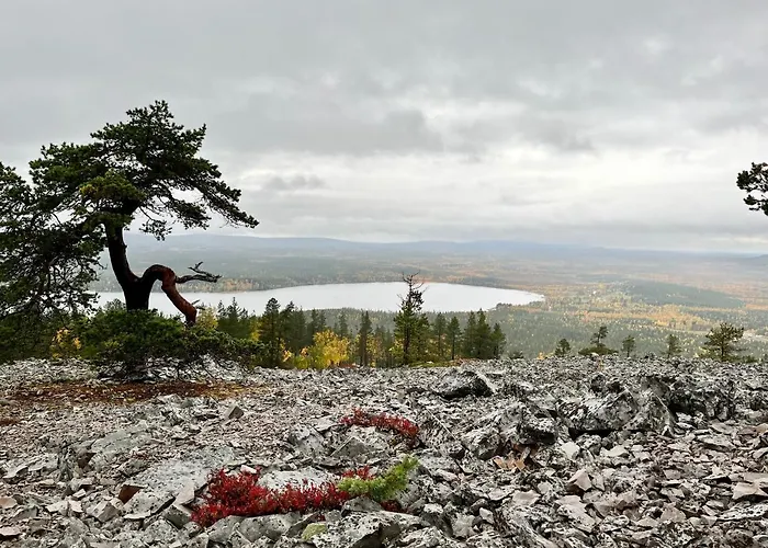 Villa Pyhae Saukonpiilo Pelkosenniemi