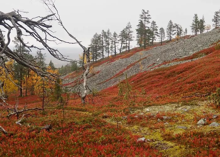 Villa Pyhae Saukonpiilo